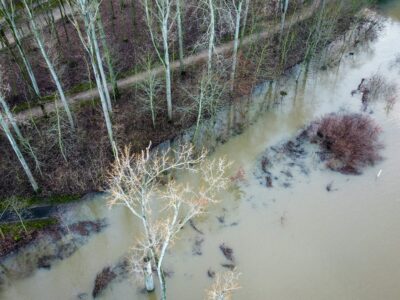 Skats no augšas uz mežu ar kailiem kokiem, ko ieskauj applūdis, duļķains ūdens, daļēji appludinot arī kokus un krūmus krastmalā. Mežā redzama taka.